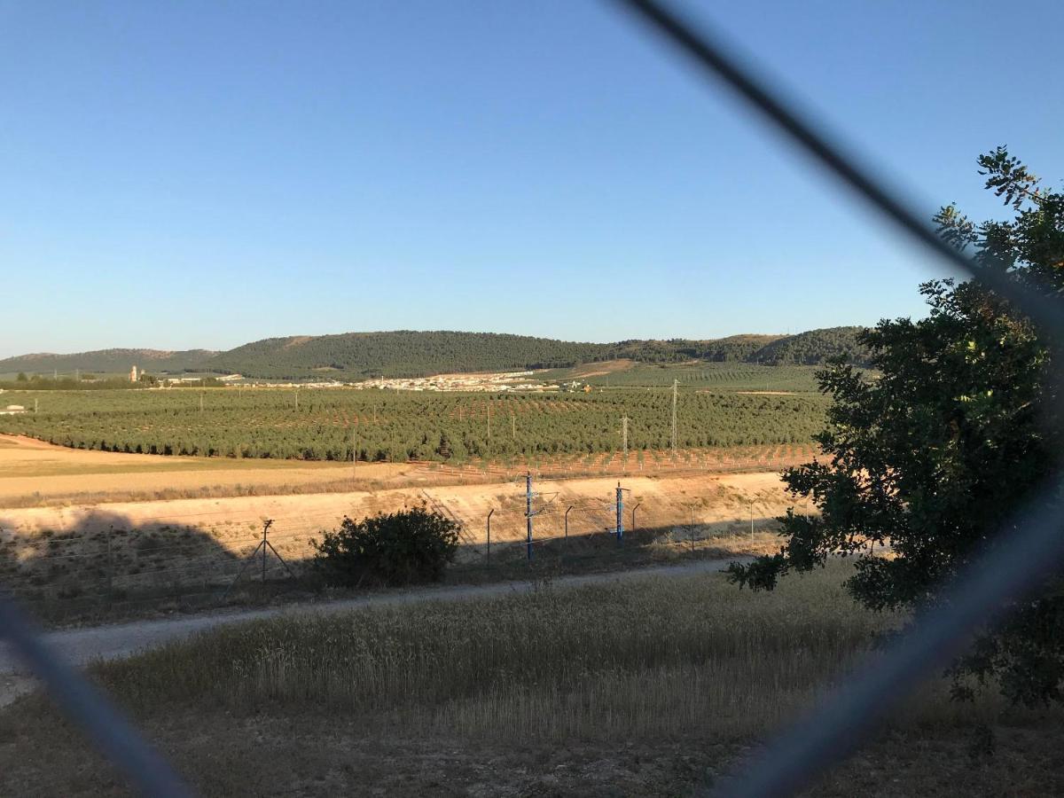 Вілла Cortijo Vista Alegre Фуенте-де-П'єдра Екстер'єр фото